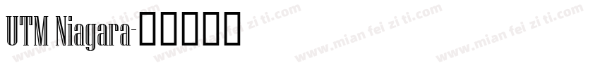 UTM Niagara字体转换